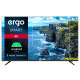 Идеальный выбор: Телевизоры ERGO
