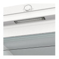 Морозильная камера GORENJE FNP619EEW5L