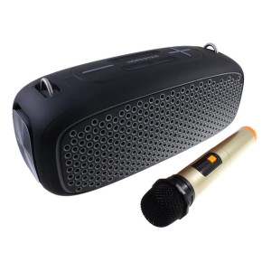 Портативна колонка HOPESTAR A30 Pro Black