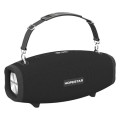 Портативная колонка HOPESTAR H41 Black купить в Киеве, Харькове, Днепре, Запорожье. Одессе, Львове магазин TOP TV