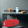 Портативная колонка HOPESTAR H41 Red купить в Киеве, Харькове, Днепре, Запорожье. Одессе, Львове магазин TOP TV