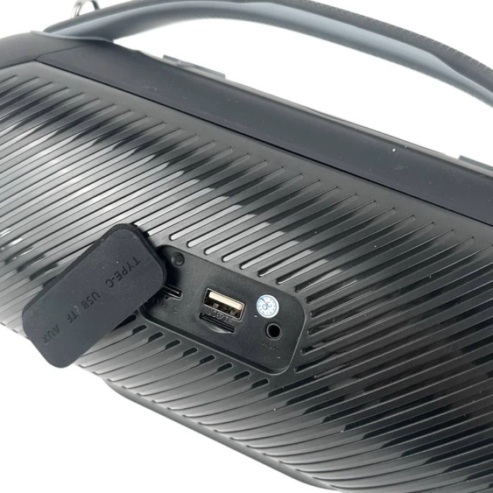 Портативная колонка HOPESTAR H65 Black купить в Киеве, Харькове, Днепре, Запорожье. Одессе, Львове магазин TOP TV